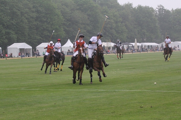 Polo_Art   098.jpg